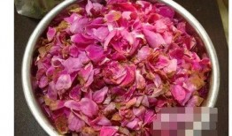 娱乐吃瓜酱玫瑰花,玫瑰花背后的秘密故事